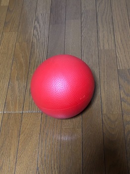6E3022BA-C240-48F0-95C8-0C50B84F97C8.jpeg